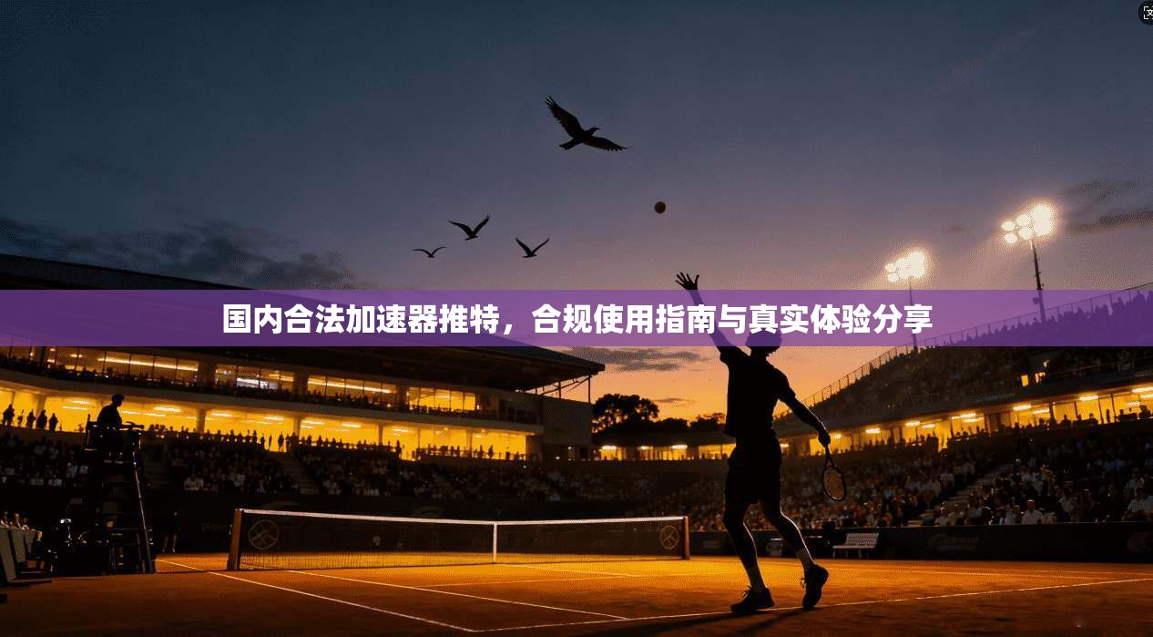 国内合法加速器推特,合规使用指南与真实体验分享 国内合法加速器推特,合规使用指南与真实体验分享