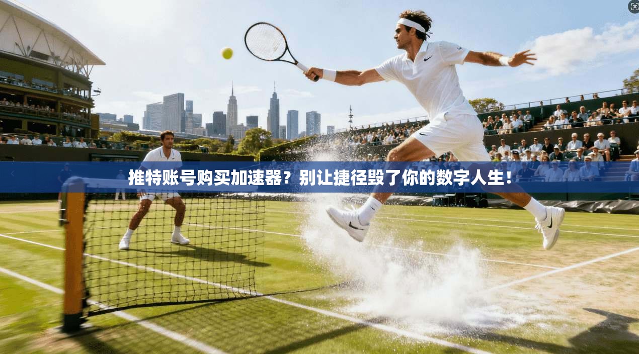 推特账号购买加速器？别让捷径毁了你的数字人生！