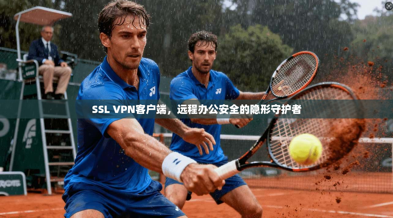 SSL VPN客户端,远程办公安全的隐形守护者 SSL VPN客户端,远程办公安全的隐形守护者