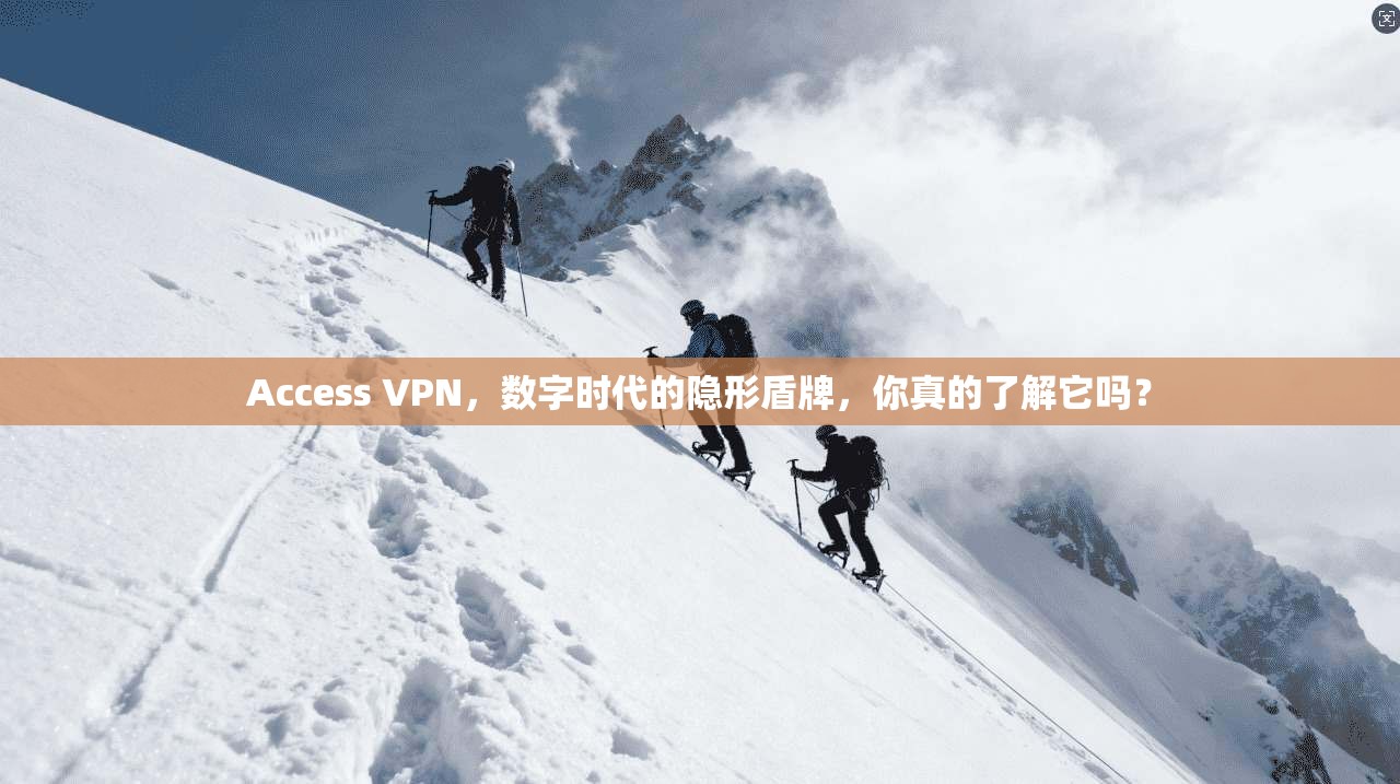 Access VPN,数字时代的隐形盾牌,你真的了解它吗? Access VPN,数字时代的隐形盾牌,你真的了解它吗?