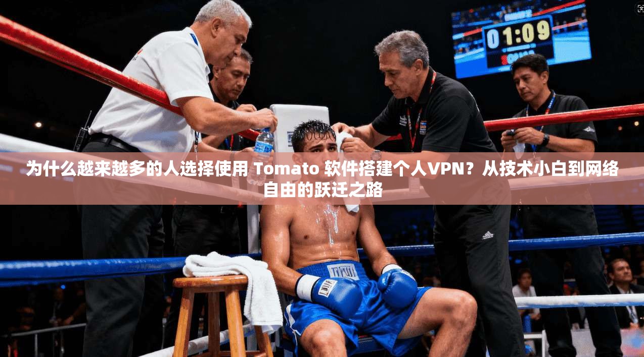 为什么越来越多的人选择使用 Tomato 软件搭建个人VPN?从技术小白到网络自由的跃迁之路 为什么越来越多的人选择使用 Tomato 软件搭建个人VPN?从技术小白到网络自由的跃迁之路