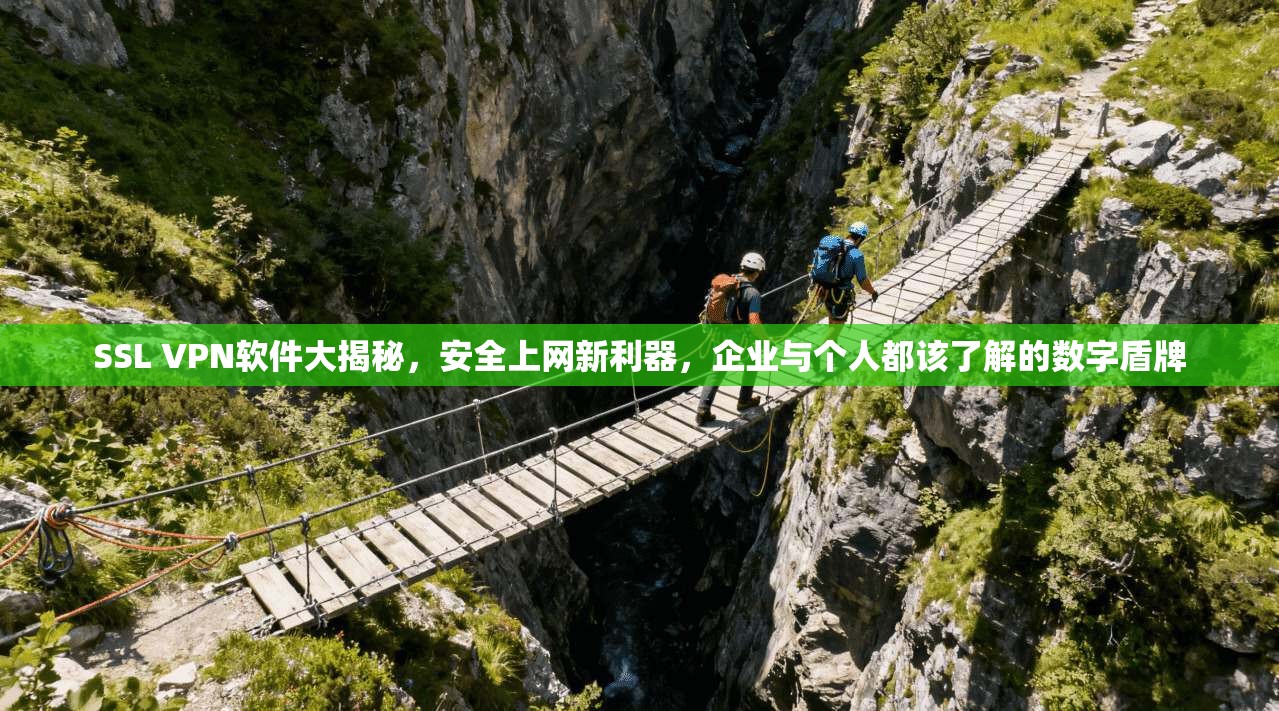 SSL VPN软件大揭秘，安全上网新利器，企业与个人都该了解的数字盾牌
