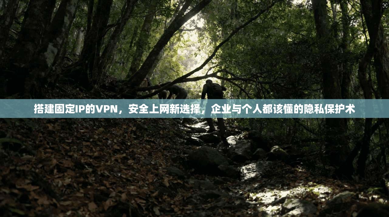 搭建固定IP的VPN，安全上网新选择，企业与个人都该懂的隐私保护术