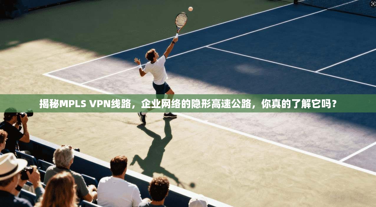 揭秘MPLS VPN线路，企业网络的隐形高速公路，你真的了解它吗？