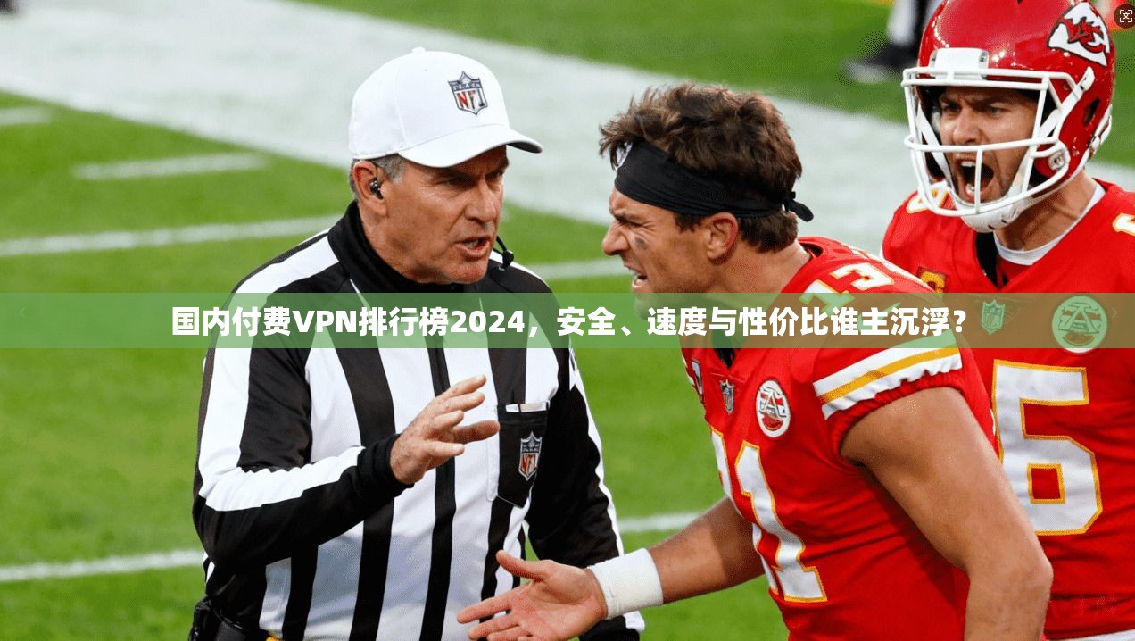 国内付费VPN排行榜2024，安全、速度与性价比谁主沉浮？