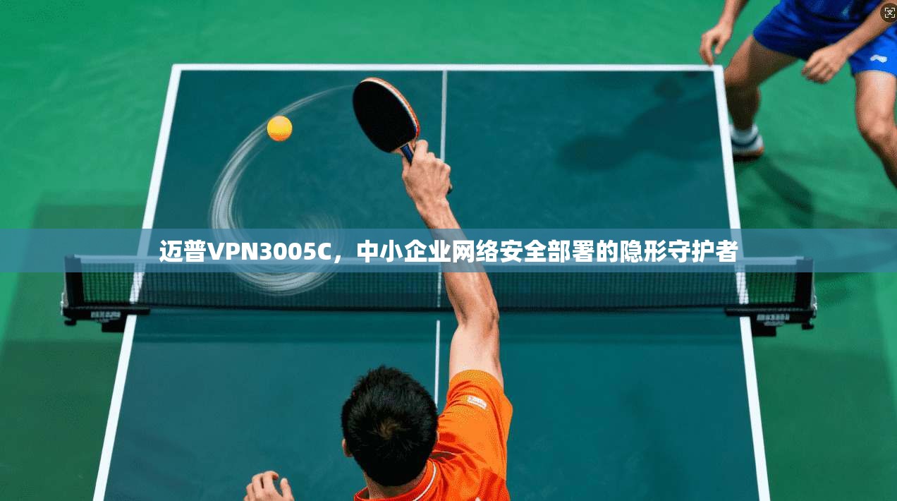 迈普VPN3005C，中小企业网络安全部署的隐形守护者