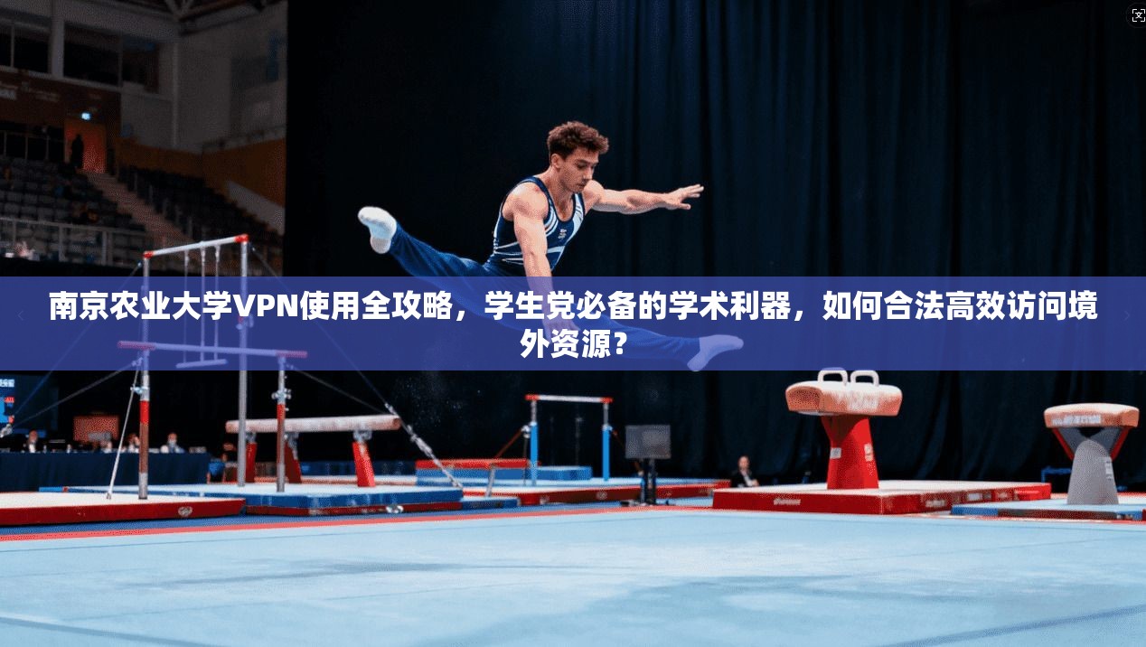 南京农业大学VPN使用全攻略，学生党必备的学术利器，如何合法高效访问境外资源？
