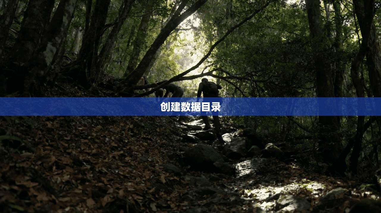 创建数据目录