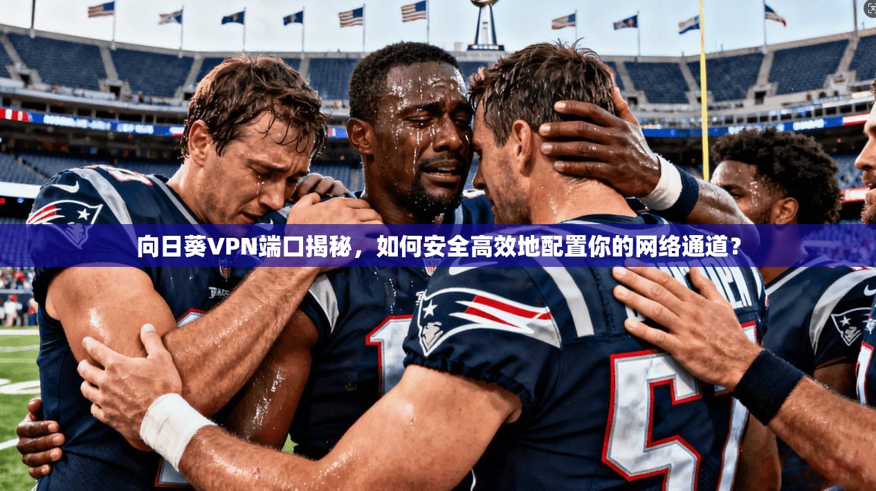 向日葵VPN端口揭秘，如何安全高效地配置你的网络通道？