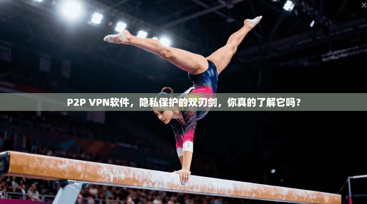 P2P VPN软件,隐私保护的双刃剑,你真的了解它吗?