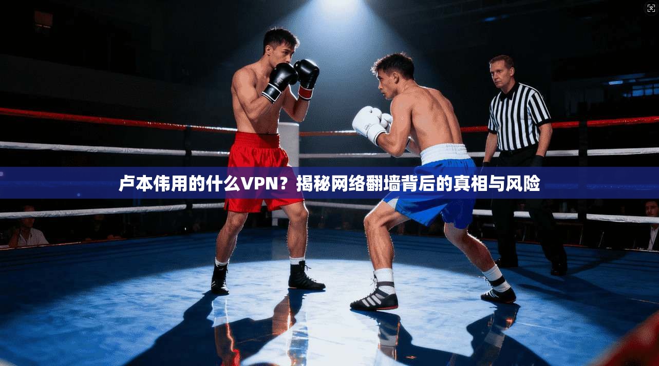 卢本伟用的什么VPN？揭秘网络翻墙背后的真相与风险