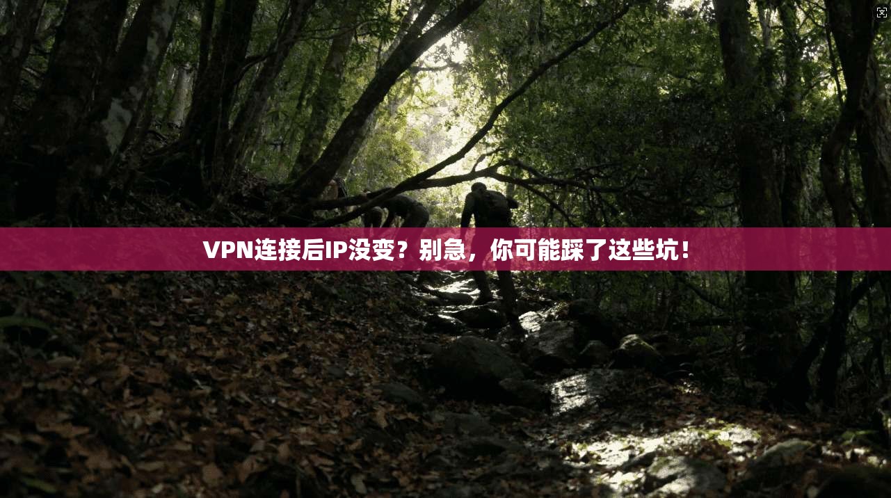 VPN连接后IP没变?别急,你可能踩了这些坑!