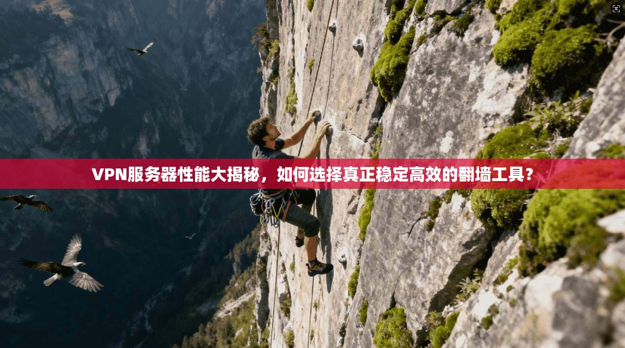 VPN服务器性能大揭秘,如何选择真正稳定高效的翻墙工具?