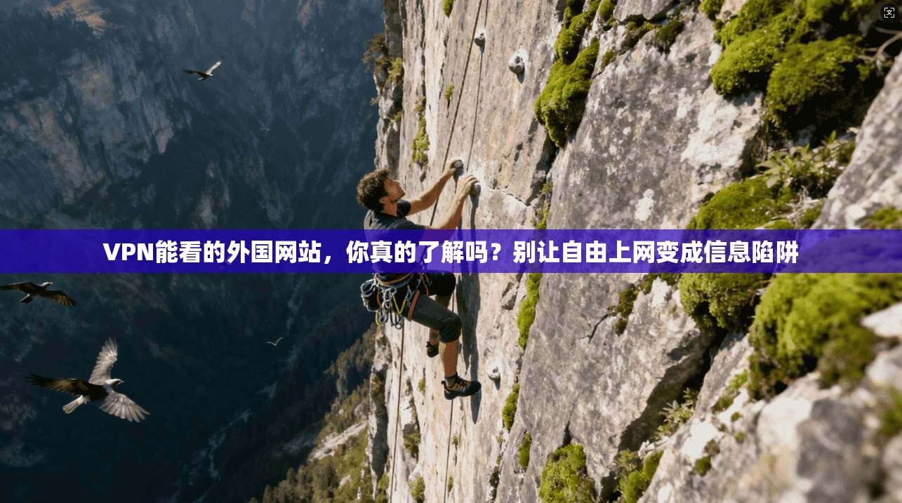 VPN能看的外国网站,你真的了解吗?别让自由上网变成信息陷阱
