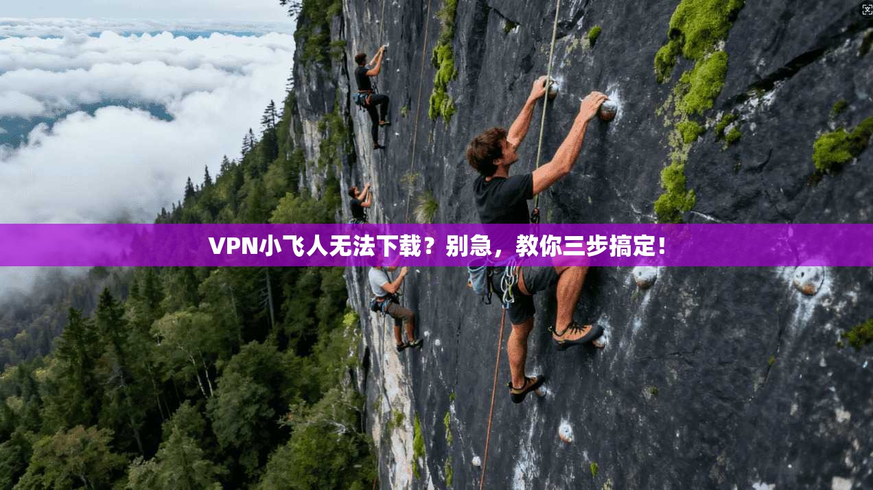 VPN小飞人无法下载？别急，教你三步搞定！