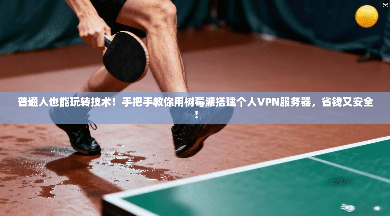 普通人也能玩转技术!手把手教你用树莓派搭建个人VPN服务器,省钱又安全!