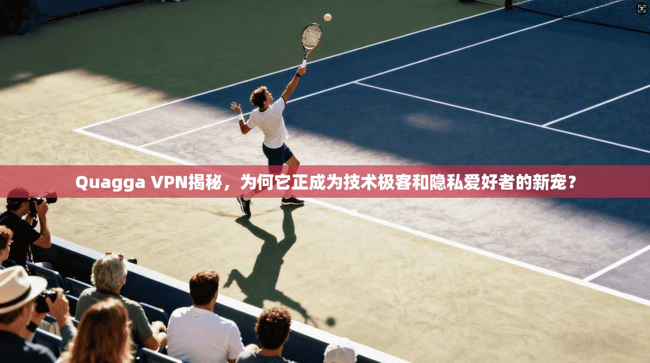 Quagga VPN揭秘，为何它正成为技术极客和隐私爱好者的新宠？