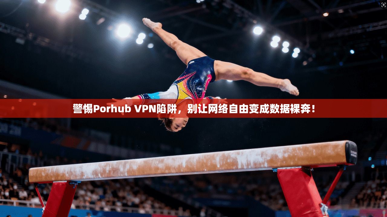 警惕Porhub VPN陷阱，别让网络自由变成数据裸奔！
