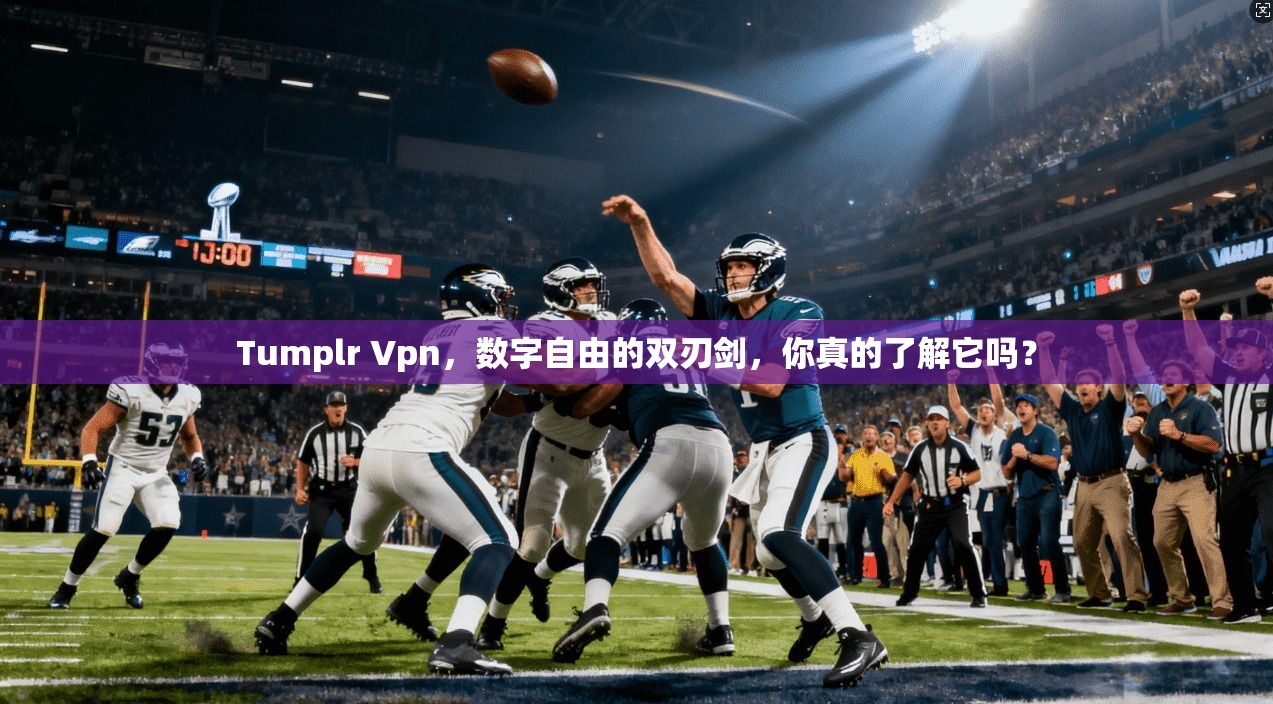 Tumplr Vpn，数字自由的双刃剑，你真的了解它吗？