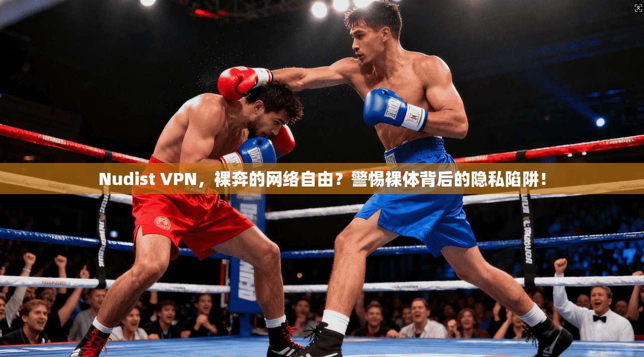 Nudist VPN，裸奔的网络自由？警惕裸体背后的隐私陷阱！