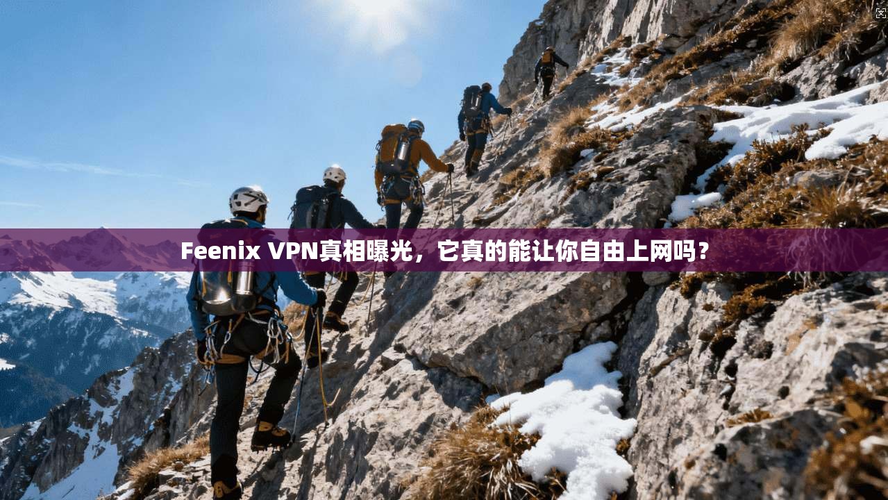 Feenix VPN真相曝光，它真的能让你自由上网吗？