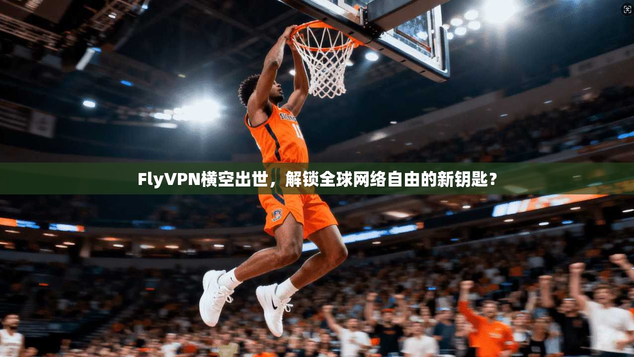 FlyVPN横空出世，解锁全球网络自由的新钥匙？