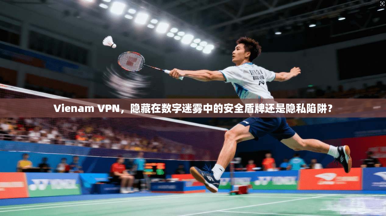 Vienam VPN，隐藏在数字迷雾中的安全盾牌还是隐私陷阱？