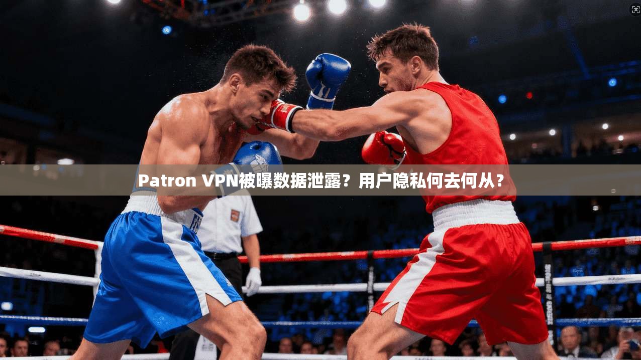 Patron VPN被曝数据泄露？用户隐私何去何从？