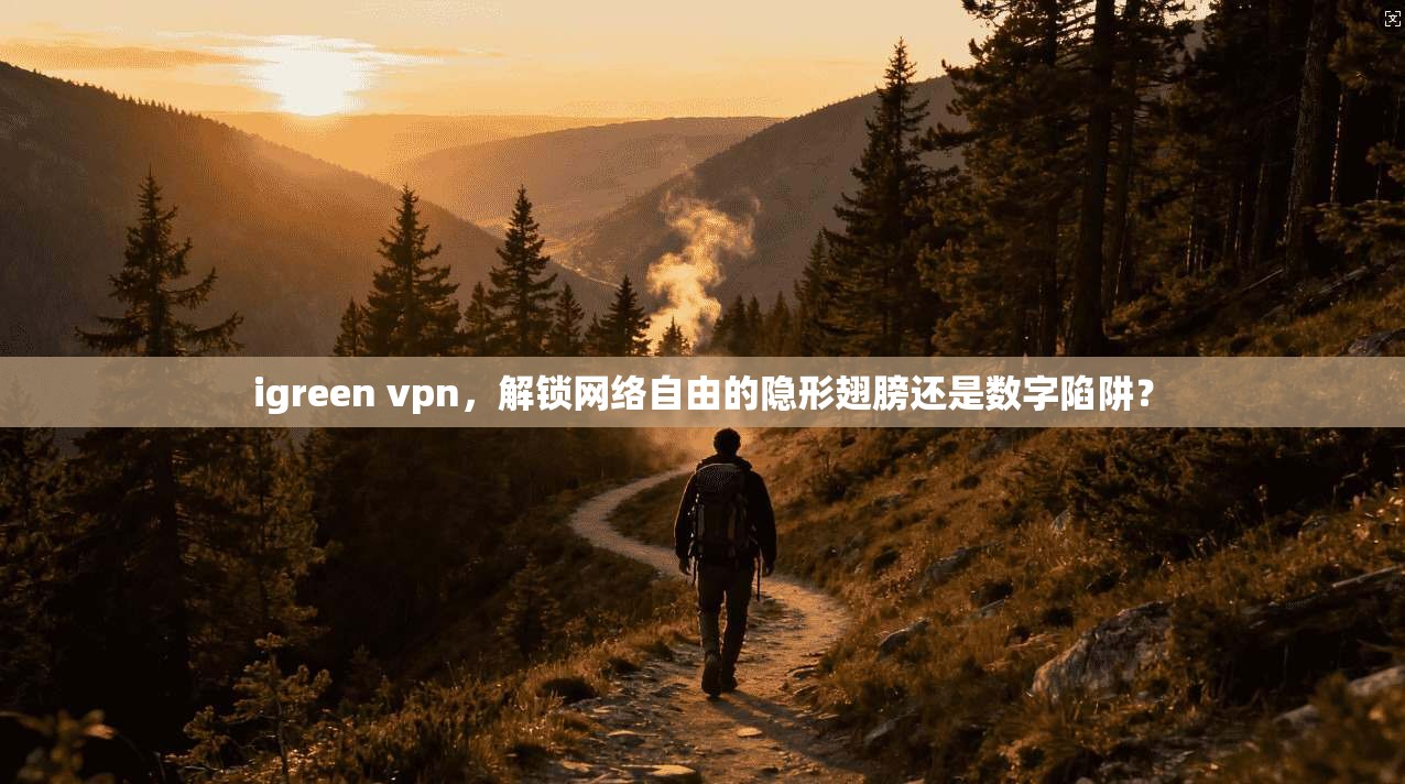 igreen vpn,解锁网络自由的隐形翅膀还是数字陷阱?
