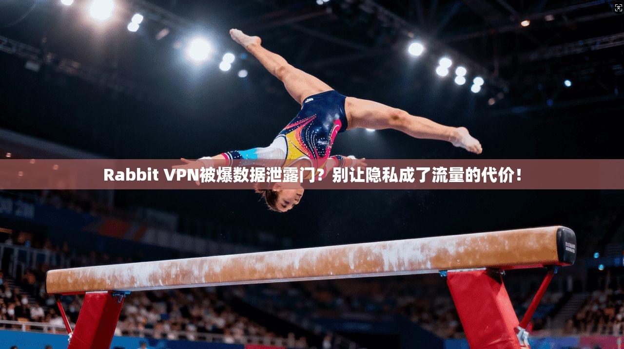 Rabbit VPN被爆数据泄露门？别让隐私成了流量的代价！