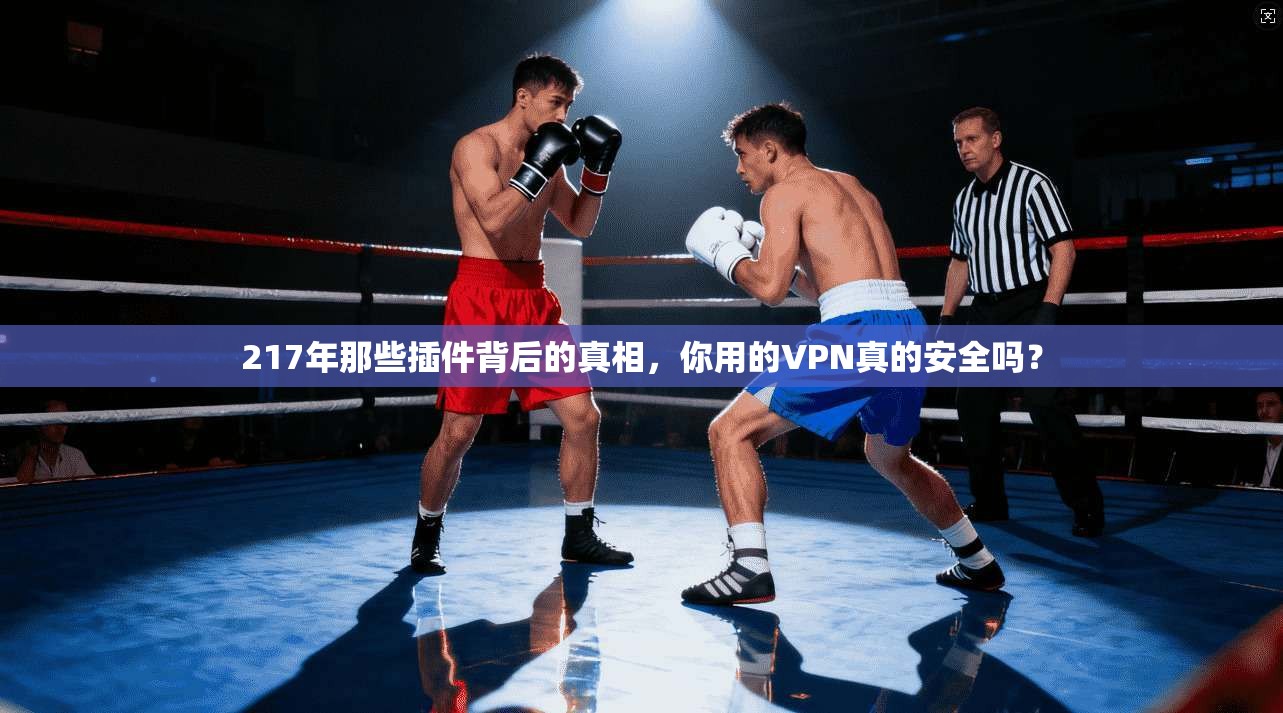 217年那些插件背后的真相，你用的VPN真的安全吗？