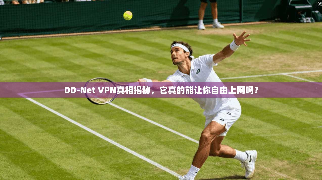 DD-Net VPN真相揭秘，它真的能让你自由上网吗？