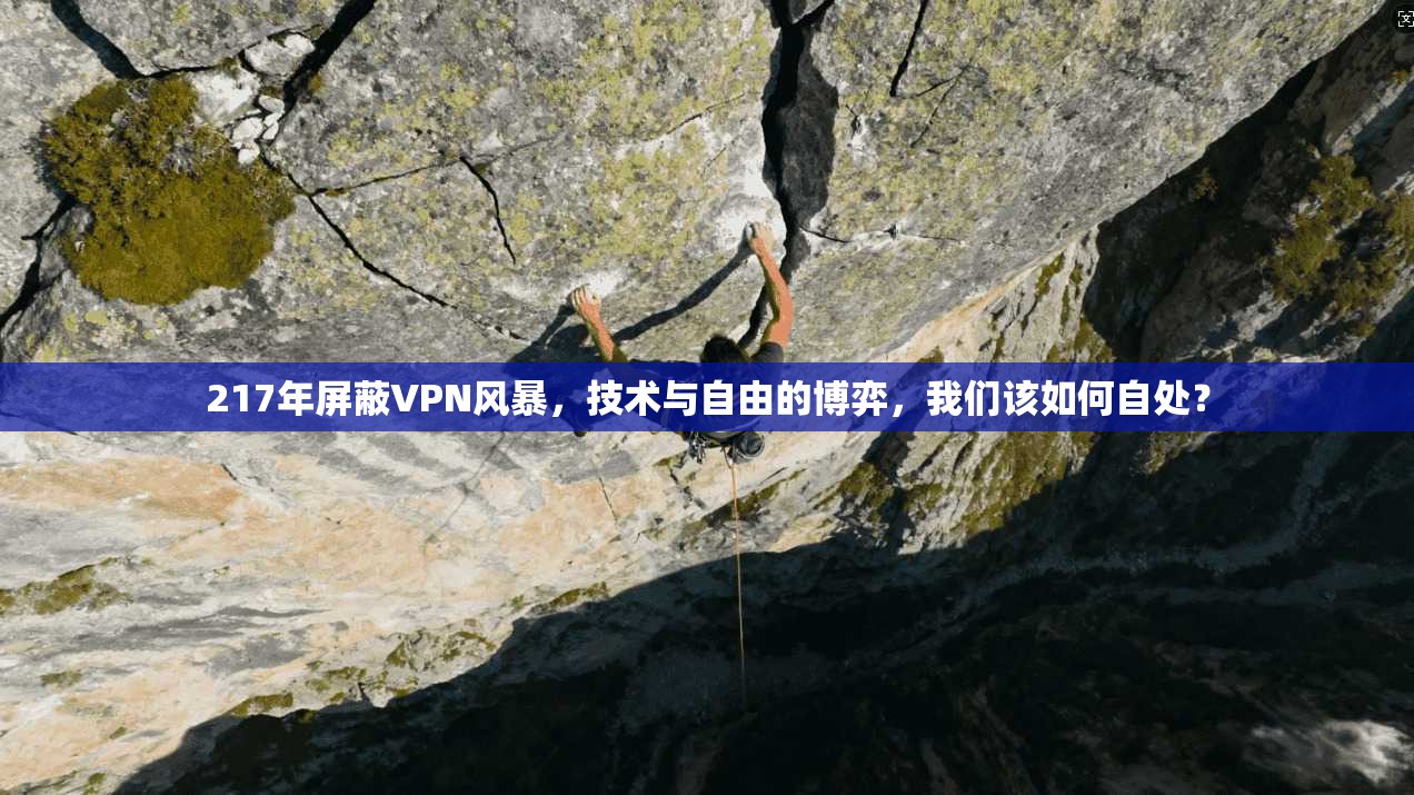 217年屏蔽VPN风暴，技术与自由的博弈，我们该如何自处？