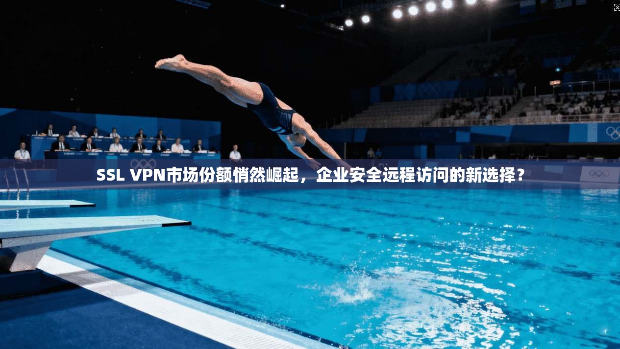 SSL VPN市场份额悄然崛起，企业安全远程访问的新选择？