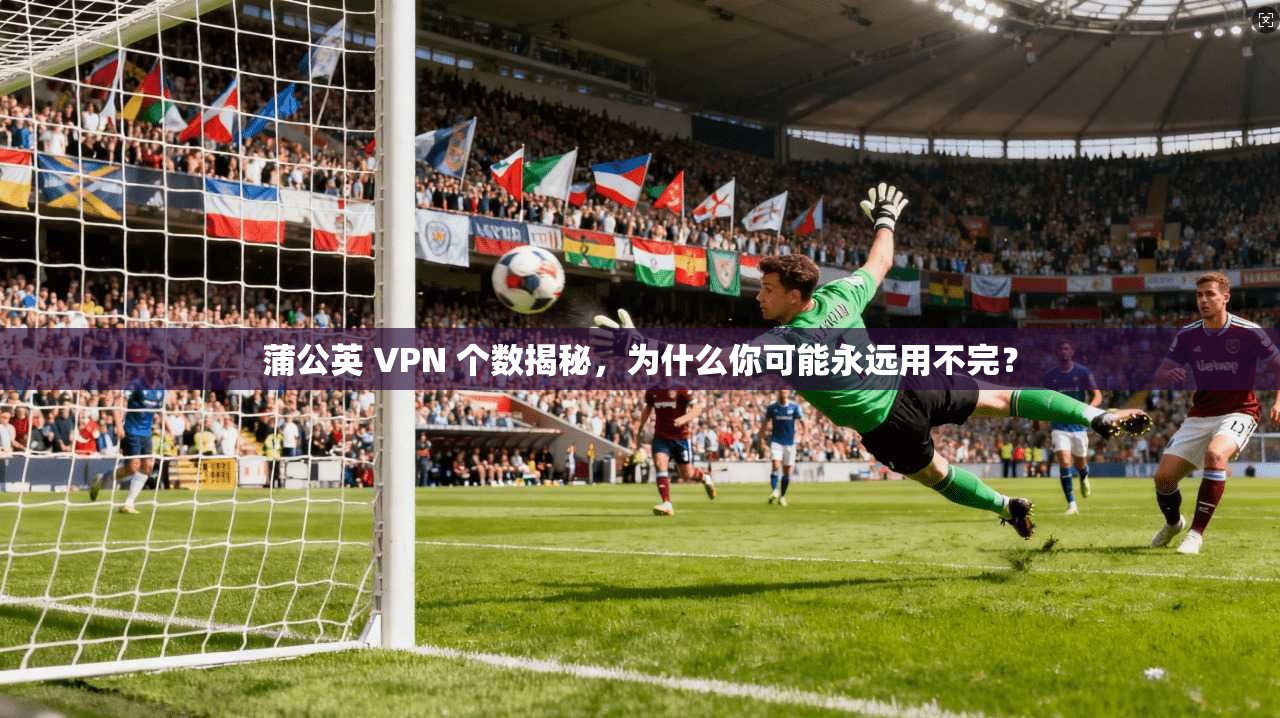 蒲公英 VPN 个数揭秘,为什么你可能永远用不完?