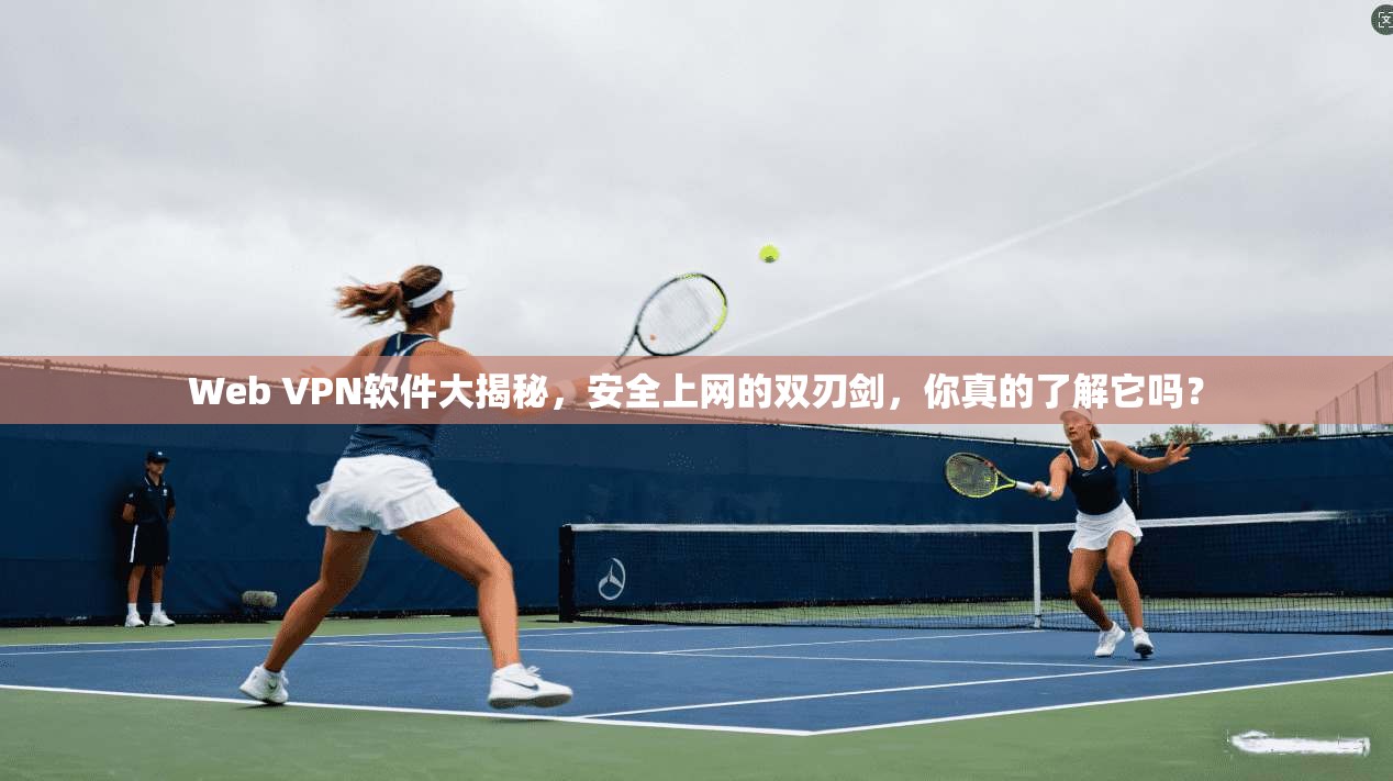 Web VPN软件大揭秘,安全上网的双刃剑,你真的了解它吗?