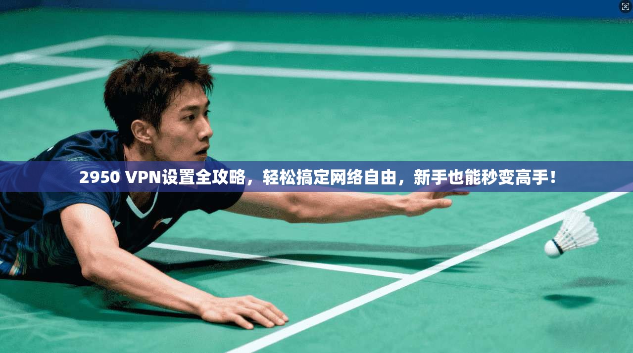 2950 VPN设置全攻略，轻松搞定网络自由，新手也能秒变高手！