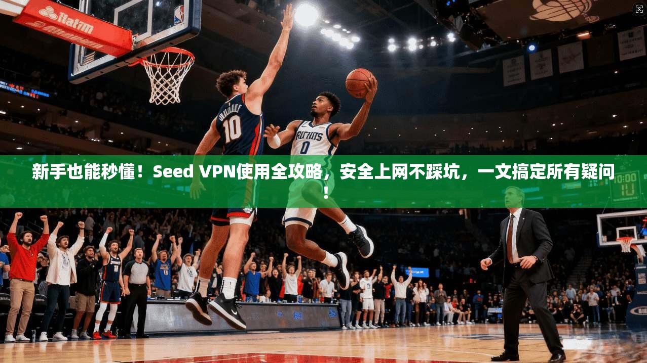 新手也能秒懂！Seed VPN使用全攻略，安全上网不踩坑，一文搞定所有疑问！