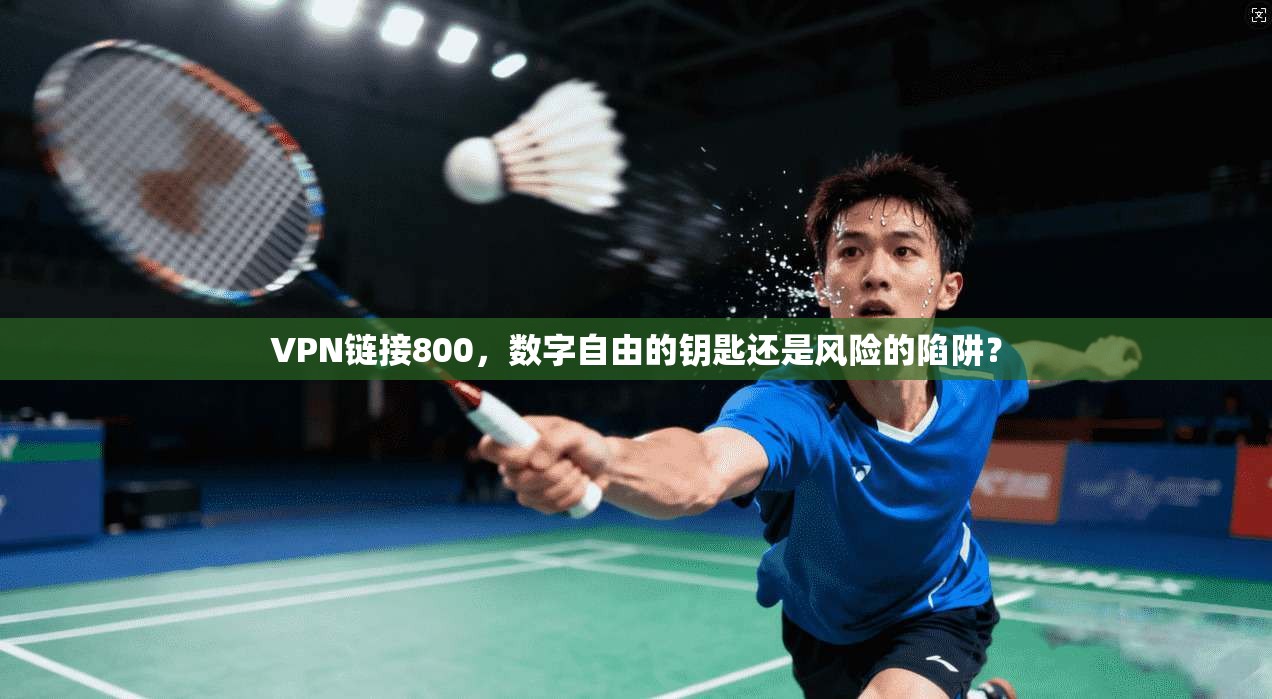 VPN链接800，数字自由的钥匙还是风险的陷阱？
