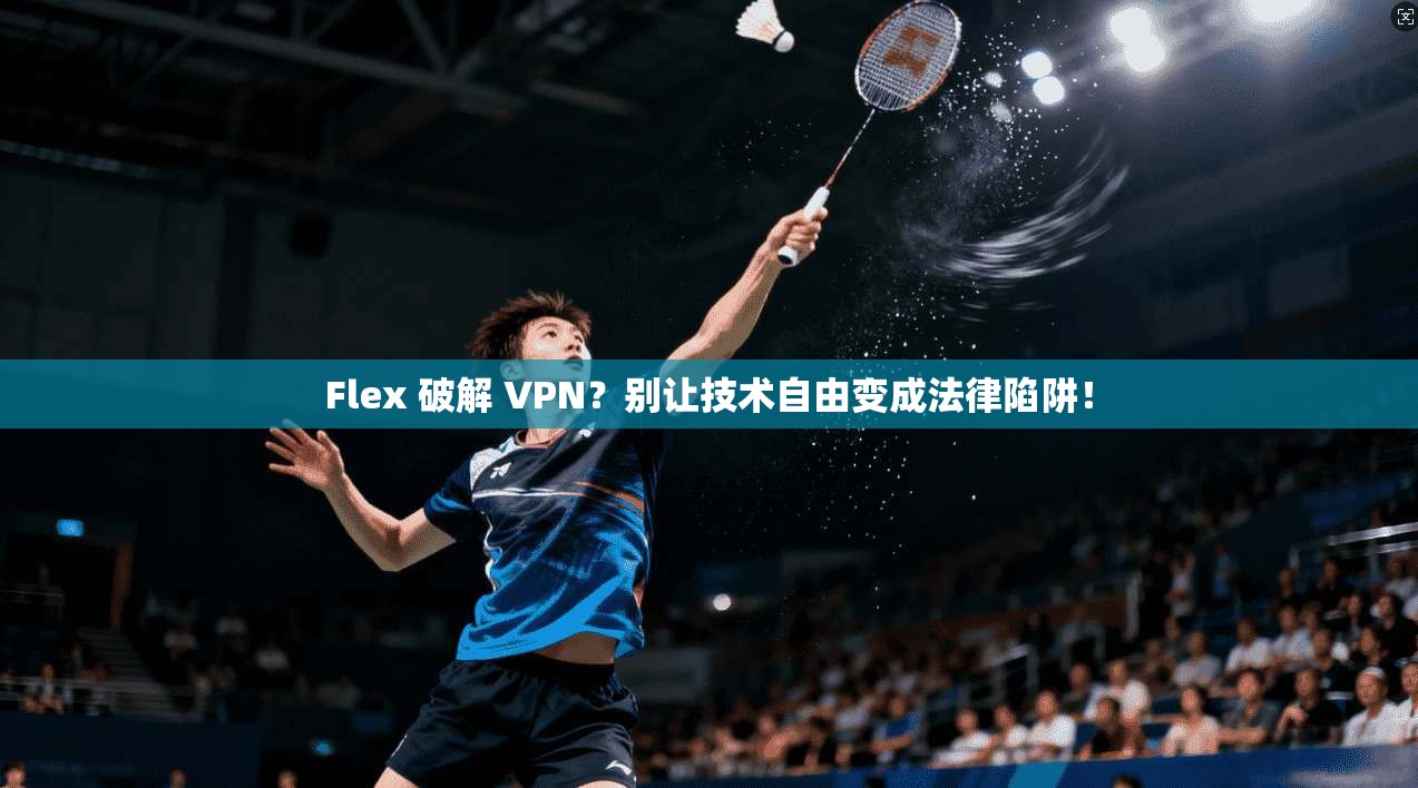 Flex 破解 VPN?别让技术自由变成法律陷阱! Flex 破解 VPN?别让技术自由变成法律陷阱!