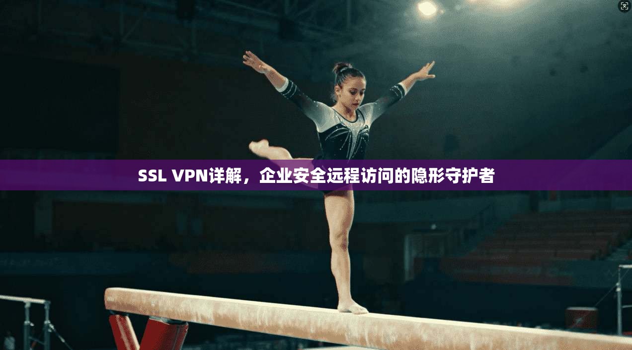 SSL VPN详解,企业安全远程访问的隐形守护者 SSL VPN详解,企业安全远程访问的隐形守护者
