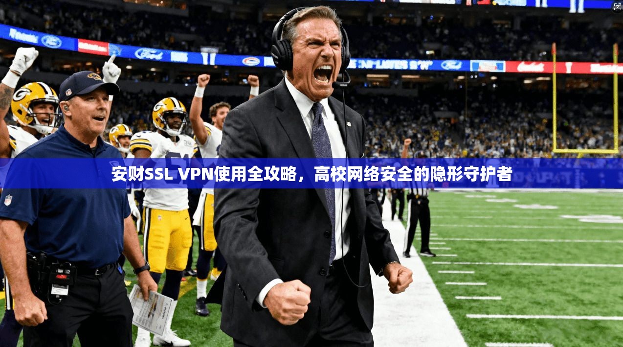 安财SSL VPN使用全攻略，高校网络安全的隐形守护者