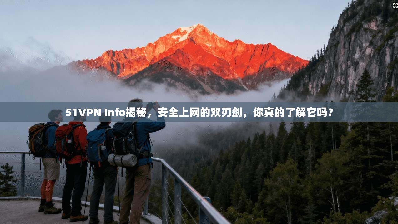 51VPN Info揭秘，安全上网的双刃剑，你真的了解它吗？
