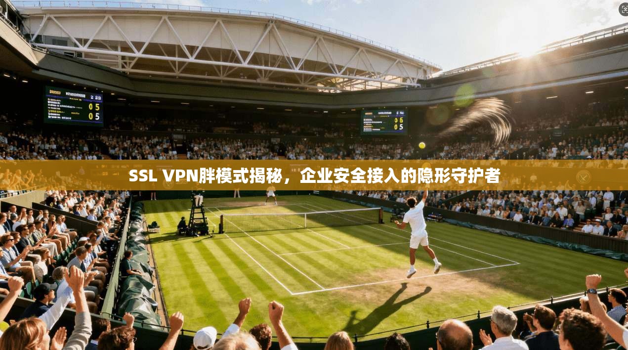 SSL VPN胖模式揭秘，企业安全接入的隐形守护者