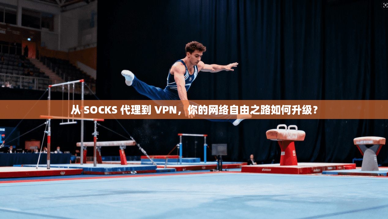 从 SOCKS 代理到 VPN，你的网络自由之路如何升级？