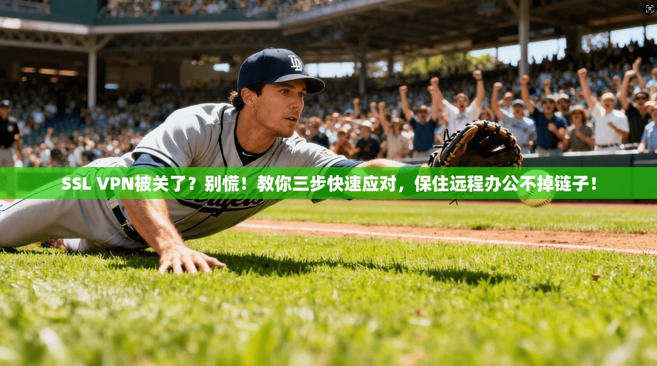 SSL VPN被关了？别慌！教你三步快速应对，保住远程办公不掉链子！