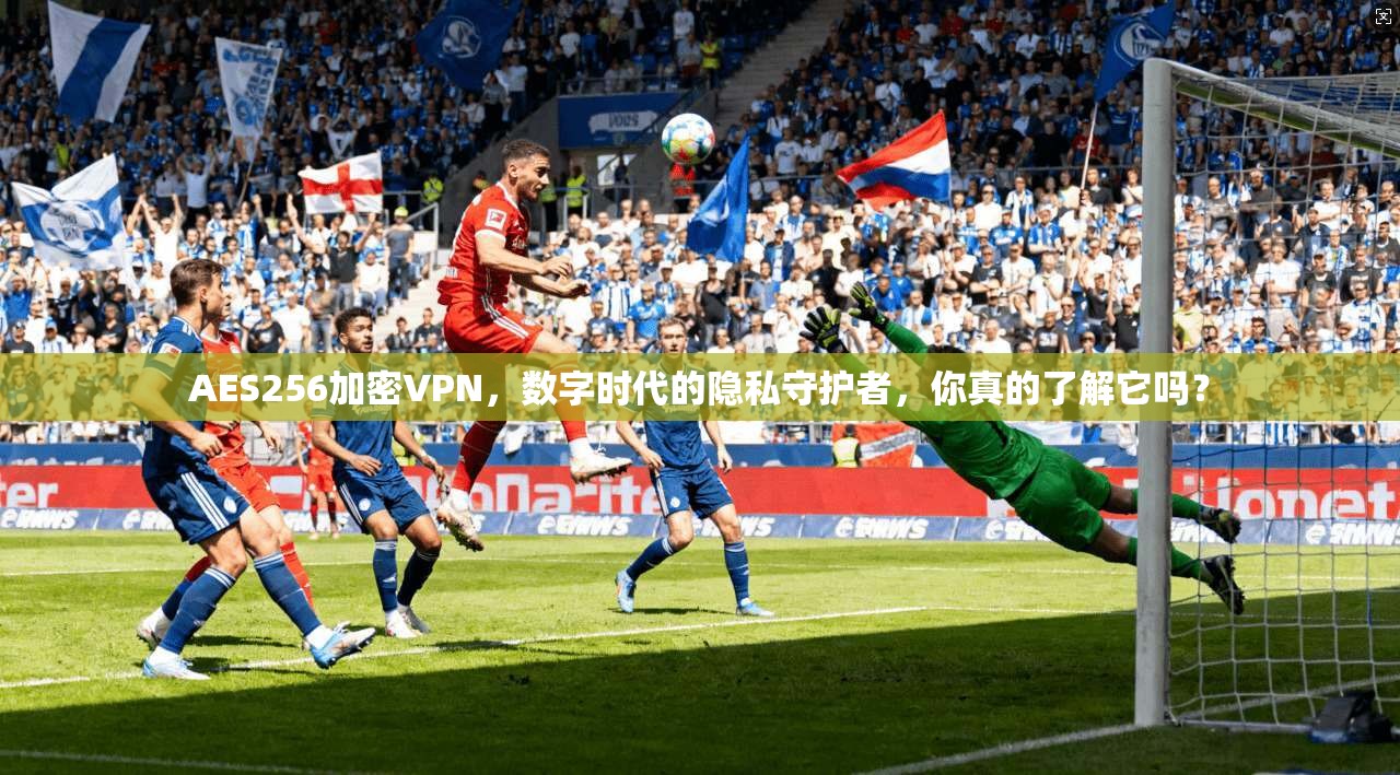 AES256加密VPN，数字时代的隐私守护者，你真的了解它吗？