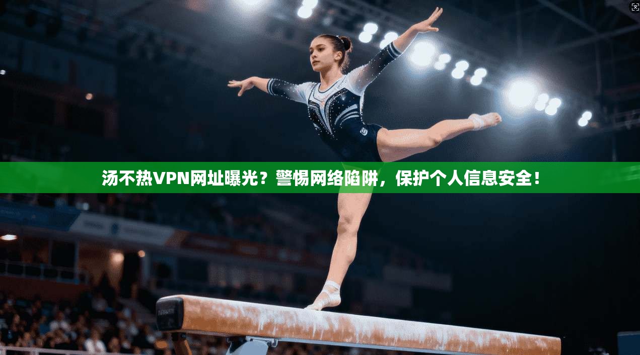 汤不热VPN网址曝光？警惕网络陷阱，保护个人信息安全！