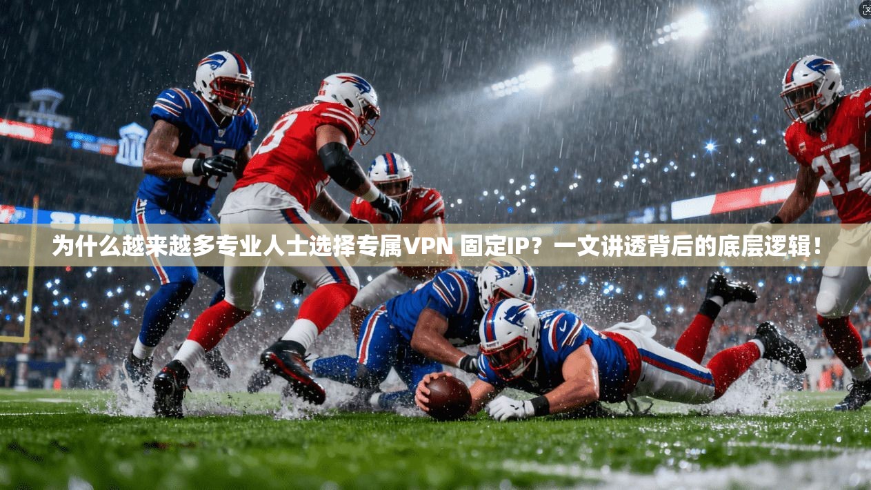 为什么越来越多专业人士选择专属VPN 固定IP？一文讲透背后的底层逻辑！