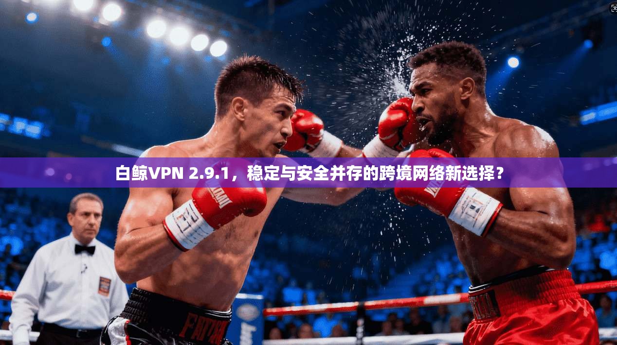 白鲸VPN 2.9.1,稳定与安全并存的跨境网络新选择?